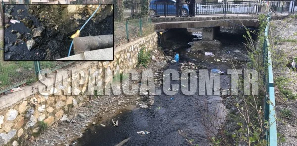 Önce Dereye Sonra Sapanca Gölü'ne