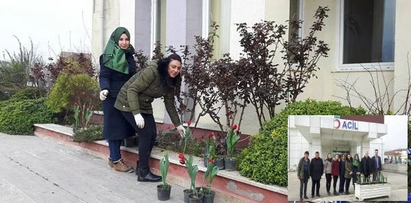 Sapanca Kaymakamlığı ve İlçe Hastanesinde Laleler Açtı