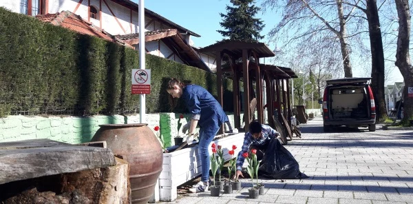 Sapanca Sanat Sokağına Öğrenciler Lale Dikti