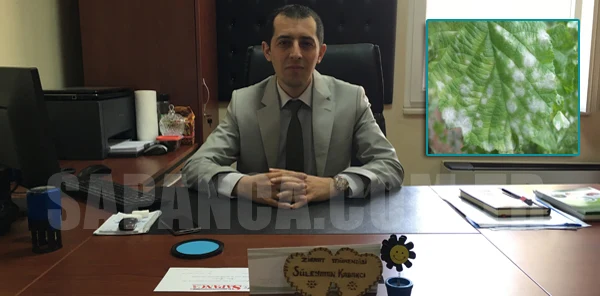 Fındık Üreticilerine Önemli Uyarı