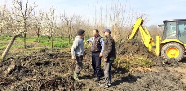 İbb Sapanca'da Meyvecilik için Harekete Geçti