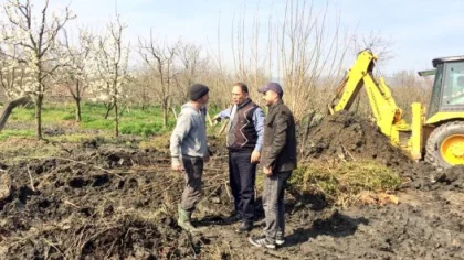İbb Sapanca'da Meyvecilik için Harekete Geçti