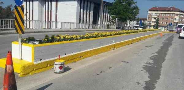 Sapanca'da Park ve Bahçeler Düzenleniyor
