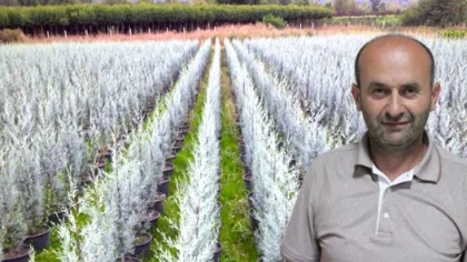 Hükümete Teşekkür Büyükşehire Eleştiri