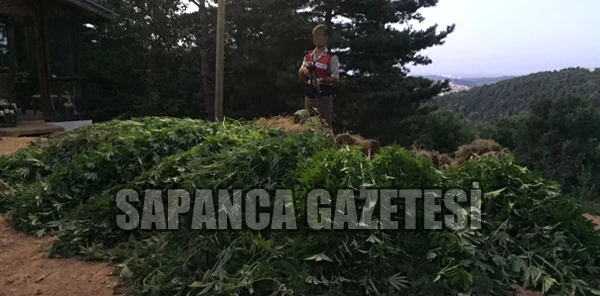 Sapanca'da Uyuşturucu Operasyonu: 1 Tutuklama