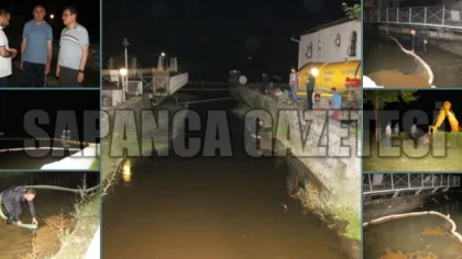 Sapanca Gölü'ne Akaryakıt Sızıntısı