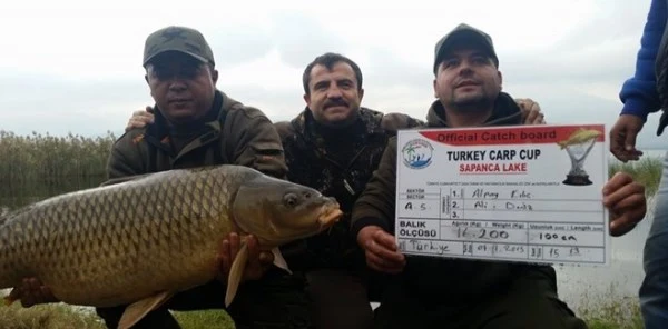En Büyük Sazan Balığını Yakalamak için Mücadele Edecekler