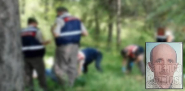 Kestane Toplamaya Gitmişti Ölü Bulundu