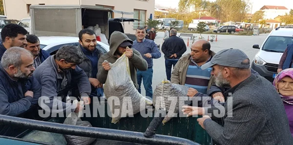 Kestaneleri Pazarda 20 Saniyede Satıldı