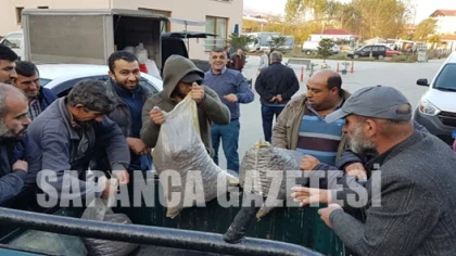 Kestaneleri Pazarda 20 Saniyede Satıldı