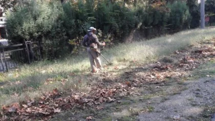 Yabani Ot Temizliği Sürüyor