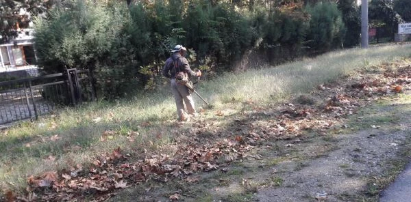 Yabani Ot Temizliği Sürüyor