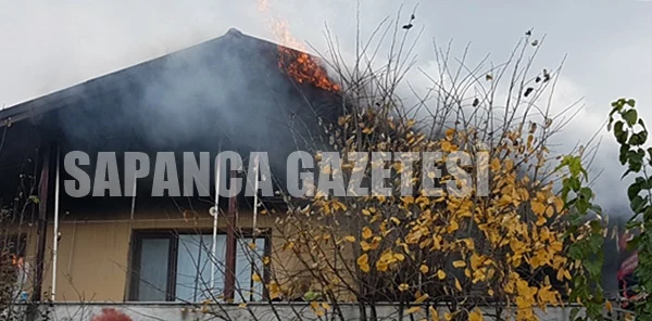 Sapanca'da Korkutan Yangın