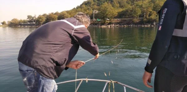 50 Adet Kasnak Ağı ve Bin Metre Ağ Yakalandı