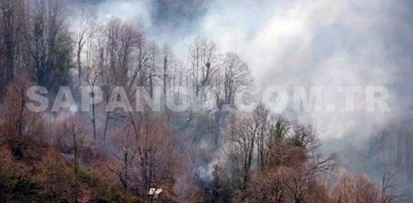 Orman Yangınında 20 Dönüm Alan Kül Oldu