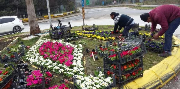 Sapanca'da Çiçeklendirme Çalışmaları