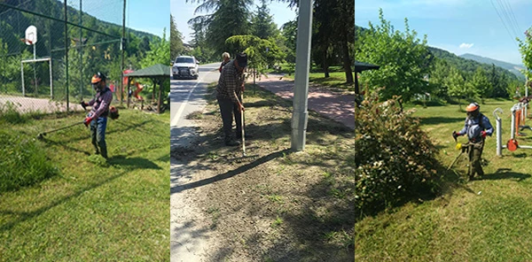 Daha Güzel Bir Sapanca için