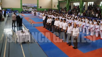 Karate Turnuvası Sapanca'da Gerçekleşti