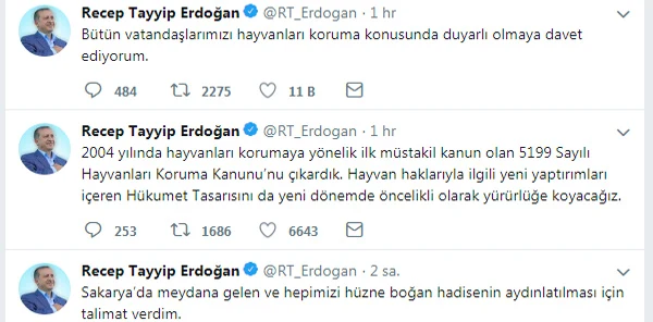 Cumhurbaşkanından Yavru Köpek Açıklaması