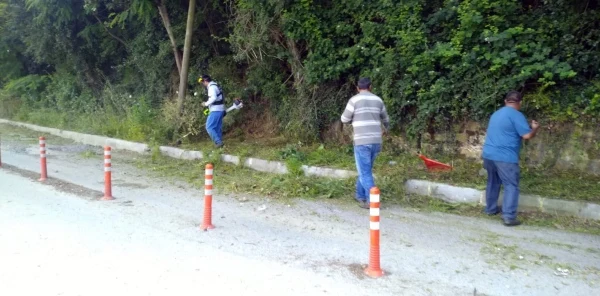 Sapanca'ya Mevsimsel Bakım
