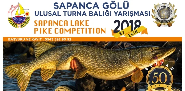 Sapanca'da Turna Balığı Yarışması