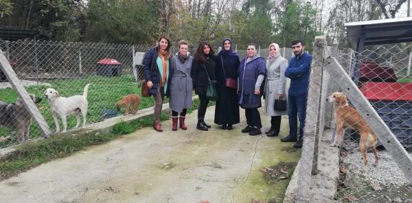 Hayvan Barınağını Ziyaret Ettiler
