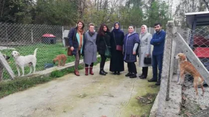 Hayvan Barınağını Ziyaret Ettiler
