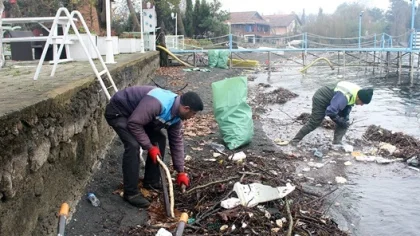 Sapanca Gölü Sahilinden 3 Kamyon Çöp Çıktı