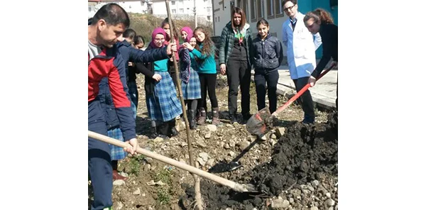 Her Sınıf için Bir Sapanca Cevizi Fidanı