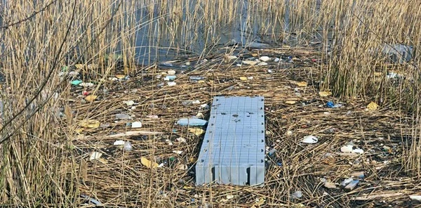 Sapanca Gölünden Bir Kamyon Çöp Çıkarıldı