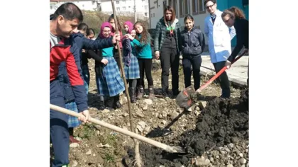 Her Sınıf için Bir Sapanca Cevizi Fidanı