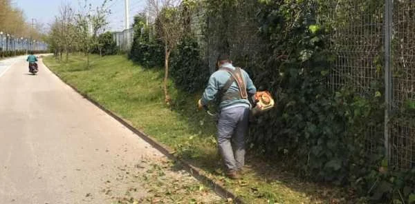 Sapanca'da Bahar Temizliği