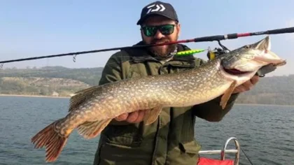 1 Metre Boyunda Turna Balığı Yakalandı