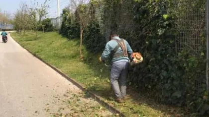 Sapanca'da Bahar Temizliği