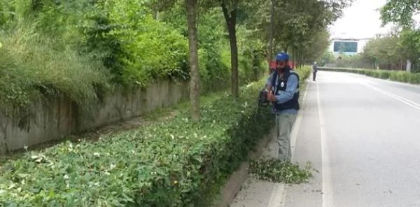 Sapanca Bayrama Hazırlanıyor