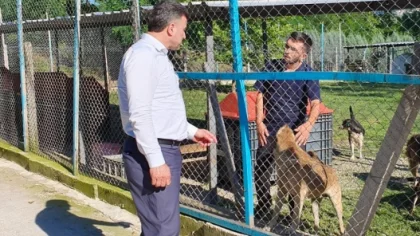 Başkan Özen, Hayvan Barınağını Ziyaret Etti