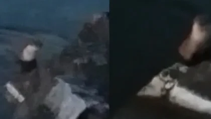 Sapanca Gölü'nde Su Samuru Görüntülendi