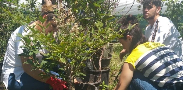 Yaz Serasında Aşı Uygulaması