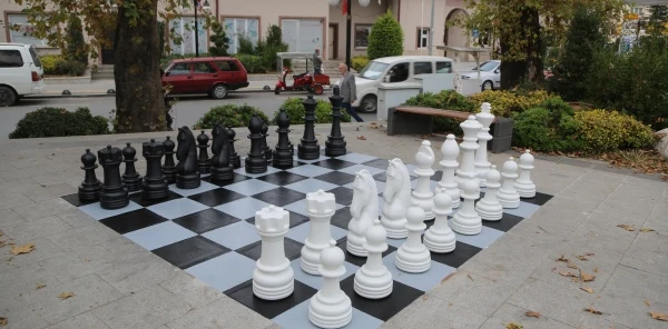 Sapanca'da Parklar Satrançla Renkleniyor