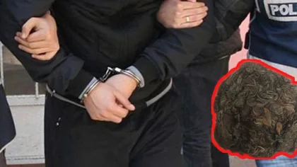 Emniyet Zehir Tacirlerine Göz Açtırmıyor