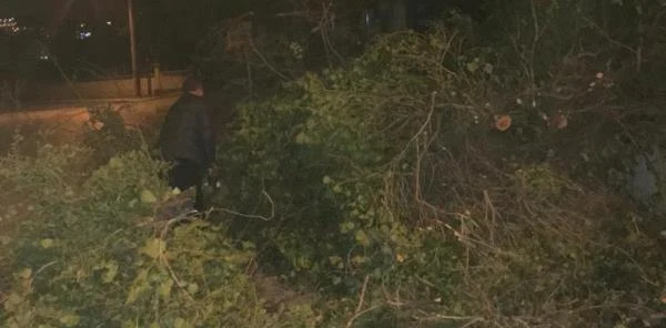 Sapanca'da Şiddetli Lodos Etkili Oldu
