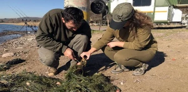 Sapanca Gölü'nde 'Hayalet Ağ' Katliamı