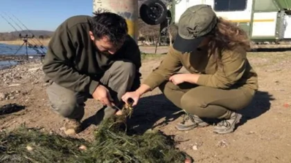 Sapanca Gölü'nde 'Hayalet Ağ' Katliamı