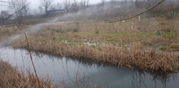 Sapanca'da Larvalara Erken Önlem