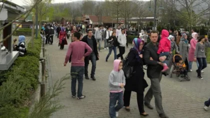 2019 Yılında Sapanca Ne kadar Göç Aldı?