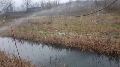 Sapanca'da Larvalara Erken Önlem