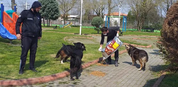 Sokak Hayvanları Unutulmadı