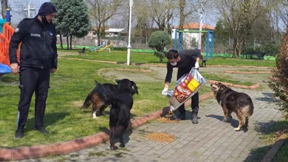 Sokak Hayvanları Unutulmadı
