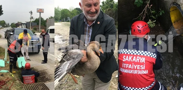 İtfaiyeden 3 Saatlik Kaz Kurtarma Operasyonu