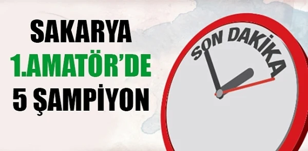 Sakarya Amatör Küme'de 5 Şampiyon?